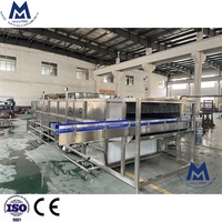 Machine de pasteurisation et de stérilisation automatique pour bouteilles de bière, canettes et bocaux, tunnel de refroidissement, pasteurisateur à pompe, contrôlée par PLC, 220V/380V