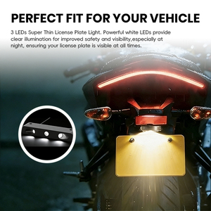 Luz LED Ultrafina para <span class=keywords><strong>Matrícula</strong></span> KS16-043 de 12V, 3 LEDs P2, 44x12x7mm, para Motocicleta, Coche, Remolque - Product Image 1