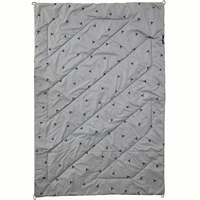 Couverture de camping pour animaux de compagnie, pliable, imperméable, pour la randonnée, le camping-car, la plage, les voyages, vente en gros, OEM, ODM