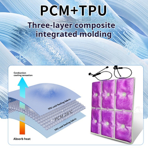 Mochila con almohadilla de hielo de refrigeración reutilizable de doble propósito, alivio rápido del calor, diseño portátil transpirable para acampar al aire libre, Escuela de Verano - Product Image 3