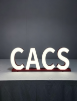 Lettres en relief 3D en acrylique personnalisées avec éclairage frontal LED, logo, enseigne de magasin extérieure, décoration murale pour entreprise