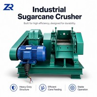 Extracteur de jus de canne à sucre électrique robuste et grande capacité, broyeur de canne à sucre, machine de broyage diesel