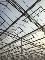 Serre agricole intelligente entièrement automatisée multi-chapelles de grande envergure en verre trempé pour culture hydroponique de la marque ZHUOTAI
