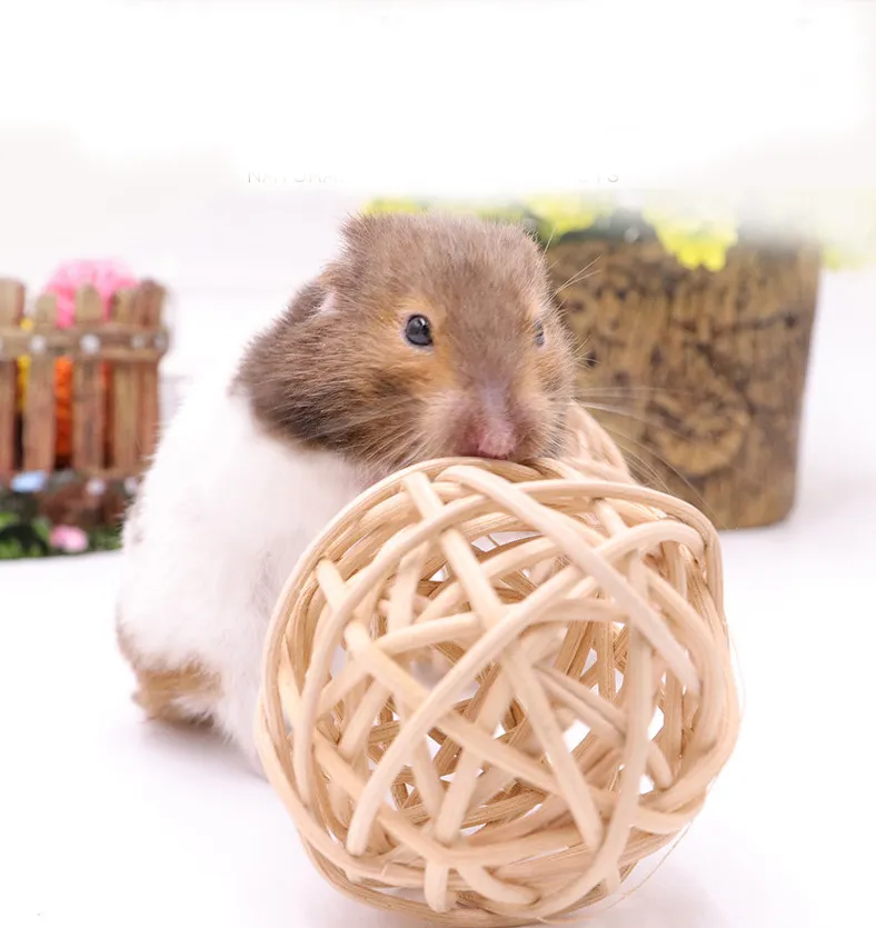 Hamster Ball Toy Handmade Chew Safe Toy für Kleintiere