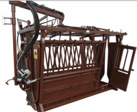 Chute d'encastrement pour bétail, très demandée, de qualité supérieure, facilement assemblable, avec structure métallique galvanisée, design écologique, hauteur de 6 pieds, modèle européen