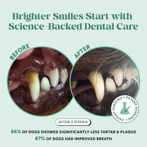 Polvo Dental Refrescante para el Aliento de Perros, para la Limpieza de Dientes, Prevención de Placa y Eliminación de Sarro, Seguro para Todas las Razas de Perros y Gatos - Product Image 2