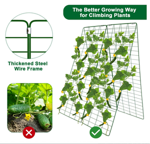 Treillis pliable pour concombres 48 pouces de long x 34 pouces de large, treillis en A pour concombres pour jardin surélevé, supports de culture de légumes - Product Image 4