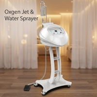 Machine professionnelle de jet d'eau oxygénée en gros pour l'élimination des taches brunes, le nettoyage en profondeur et la régénération cutanée pour les spas