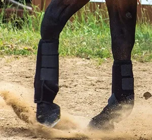 Horse Brush ing Boots Bein wickels chutz BEIN GARTEN Fliegens tiefel Neopren Stiefel vorne und hinten für Pferde