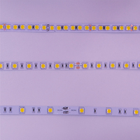 60LED 120LED Weiß Rot Grün Blau 12V LED-Licht leisten Wasserdichtes SMD 2835 60LEDs/M Flexibles LED-Streifen band