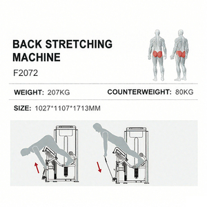 Professional BACK STRETCHING MACHINE Gym Equipment Commercial Fitness Back Extension Strength Training WD-F2072 Your - Product Image 4