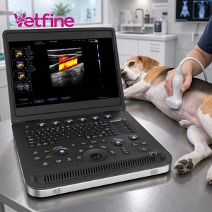 Échographe vétérinaire couleur Doppler 3D, système d'échographie et accessoires d'échographie - <span class=keywords><strong>Prix</strong></span> - Product Image 1