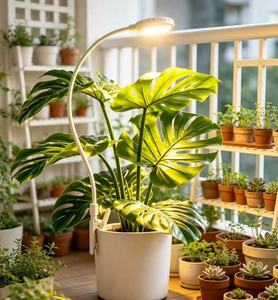 Lampe de culture LED à clipser 4,5W avec col de cygne réglable pour la croissance végétative intérieure et l'efficacité de la coloration des succulentes - Product Image 1