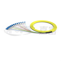12-Core Pigtail serat dengan SC/LC/FC/ST 0.9mm APC/UPC untuk FTTH ODF panel OM2/OM Simplex/kabel komunikasi dupleks