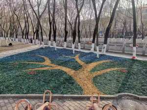 Paillis d'écorce <span class=keywords><strong>de</strong></span> <span class=keywords><strong>pin</strong></span> biologique blocs <span class=keywords><strong>de</strong></span> copeaux <span class=keywords><strong>de</strong></span> bois écologiques colorés sciure <span class=keywords><strong>de</strong></span> bois pour paysage vert ornement <span class=keywords><strong>de</strong></span> jardin extérieur - Product Image 4