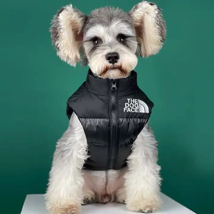 Luxury Designer Clothes Dogs, Dog Clothes Luxury Fashion