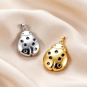 Collier avec pendentif médaillon en acier inoxydable, motif coléoptère mignon, cadre photo ouvrable, chaîne coccinelle, cadeau nostalgique pour la famille - Product Image 1