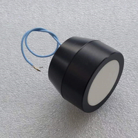 Probe Udara Ultrasonik Kustom Frekuensi Dapat Diatur 75kHz Sensor Transduser dengan Jarak Deteksi 250mm-6000mm Sudut Sinar 12 Derajat