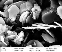 Poudre de nitrure de bore hexagonal (HBN) D50 1μm 2μm 5μm, additif thermoconducteur pour semi-conducteurs et plastiques