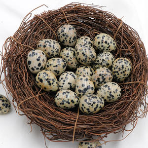 HZ Custom Großhandel Little Egg Rock Polierte eiförmige Edelstein Dalmation Jaspis Kristall Kleine Eier perlen Stein Home Decoration - Product Image 1