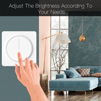 RSH inalámbrico Wifi inteligente 220V Reino Unido UE 110V EE. UU. Iluminación Rotary Timer Dimmer Slide Control de voz Alexa Led Dimmer Switch Tuya