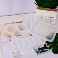 Jutran personnalisé plateau de service alimentaire Snack Dessert boîtes en plastique plateau alimentaire jetable avec 4 compartiments