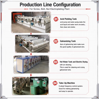Ligne de production automatique de zinguage, équipement de galvanisation électrique pour clous, vis, boulons, écrous, quincaillerie, usine d'électrodéposition