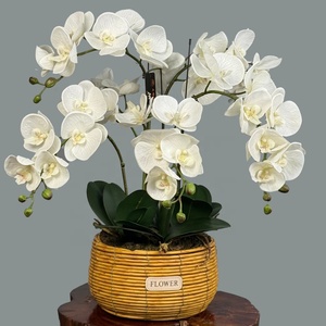 Orquídea Mariposa Artificial de Múltiples Ramas en Contenedor, Planta Decorativa para Sala de Estar, Hotel, Mueble de TV, Orquídea de Simulación Impresa en 3D - Product Image 2