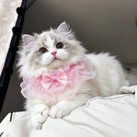Collier pour chat en satin luxueux et mignon, design personnalisé haut de gamme, emballage personnalisé, toutes saisons, fabriqué en Chine