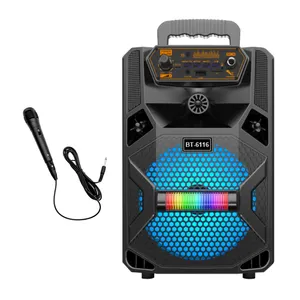 BT-6116 Hot selling super bass remote control speaker 6.5 inch wireless bt party speaker with wired microphone