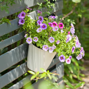 Macetas De Plstico Colgantes extra Grandes Auto Pots de culture Pot de pépinière <span class=keywords><strong>1m</strong></span> Maceteros De Plastico Pot Et Fleur - Product Image 4