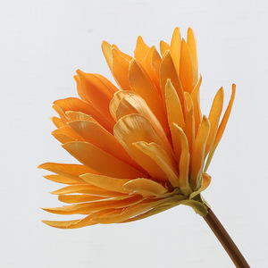 Cereus Notturno Fiorito <span class=keywords><strong>di</strong></span> <span class=keywords><strong>Notte</strong></span>, <span class=keywords><strong>Fiore</strong></span> Artificiale all'Ingrosso per Decorazioni Domestiche - Product Image 6