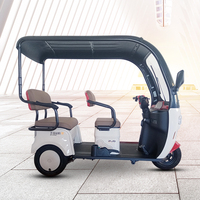 2025 pas cher 3 roues E cyclomoteur 650w Tricycle électrique avec auvent pour adulte