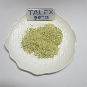 Suministro de Suplementos al Mejor Precio, Polvo de Miricetina 98% Natural, Extracto de Myrica Rubra - Product Image 2