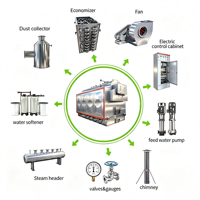 Chaudière à vapeur au biomasse DZH 2t/h 12,5 bar pour les industries alimentaires, des boissons, du textile, des produits chimiques et du caoutchouc, avec des performances stables