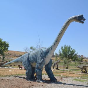 Vente chaude vrai modèle de tête de dinosaure Animatronic pour Adventure Park <span class=keywords><strong>Jurassic</strong></span> Dinosaur - Product Image 3