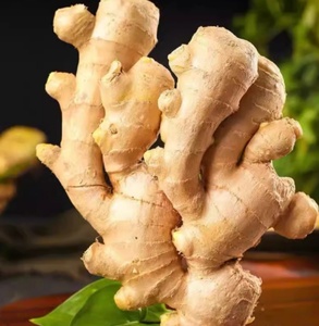 Cây trồng mới tươi khô gừng 10kg hộp cho bán buôn gừng giá chất lượng tốt - Product Image 1