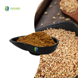 Extracto de Semilla de Ciprés de Alta Calidad 10:1 20:1, Extracto de Semilla de Platycladi en Polvo de Grado Alimenticio - Product Image 2