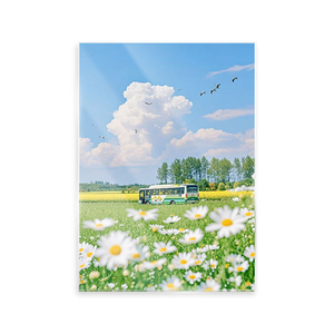 Impression acrylique - Product Image 1