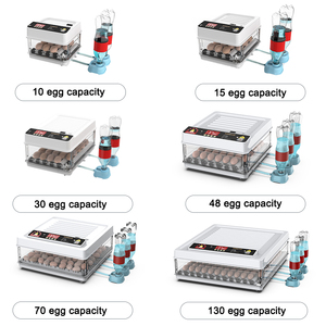Mini incubateur pour poussins 15 œufs machine <span class=keywords><strong>à</strong></span> couver prix bon marché <span class=keywords><strong>à</strong></span> <span class=keywords><strong>vendre</strong></span> - Product Image 6
