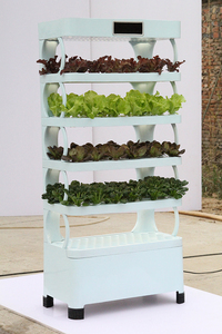 Système de culture d'armoire pour plantes d'intérieur hydroponiques intelligentes Boîtes de culture pour fraises Système hidroponique pour jardin - Product Image 6