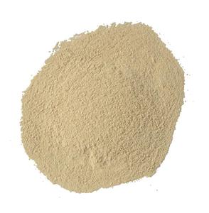 Suppléments Probiotiques pour Pigeons de Course Bacillus Subtilis <span class=keywords><strong>Lactobacillus</strong></span> Plantarum Levure en Poudre 100g/sachet Favorise la Santé Intestinale - Product Image 2