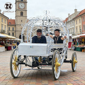 Charrettes à chevaux <span class=keywords><strong>d</strong></span>'<span class=keywords><strong>occasion</strong></span> populaires, charrettes royales de luxe à <span class=keywords><strong>vendre</strong></span>, charrettes à chevaux de luxe pour mariage - Product Image 6