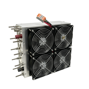 Générateur de pile à combustible à <span class=keywords><strong>hydrogène</strong></span> PEM de 100 W, refroidi par air, pour vélo, scooter électrique, alimentation de secours à domicile - Product Image 2
