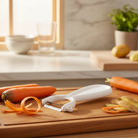 Éplucheur multifonctionnel en acier inoxydable, couteau à éplucher les fruits et légumes, râpe à pommes de terre et à melon, hachoir, outil de cuisine