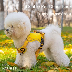 Produsen grosir harnes anjing Harness berjalan lembut sejuk Harness hewan peliharaan untuk anjing kecil - Product Image 5