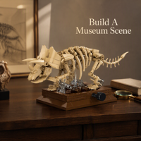 Ensemble de blocs de construction personnalisés dinosaures cornus, jouets éducatifs pour enfants, modèle d'exposition de fossiles, produit en gros OEM sous marque privée