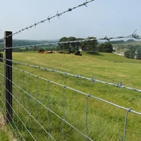 Clôture de Jardin Professionnelle en PVC Galvanisé avec Articulations à Charnières pour Ferme, Pré et Cour, Haute Résistance à la Traction, Clôture pour Moutons et Bovins