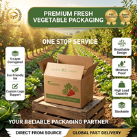 Ecologisch recyclebare golfkartonnen groente- en fruittransportdoos, anti-kneus, geventileerd, kartonnen doos voor groenten en fruit, bulk, gerecycleerde materialen
