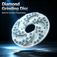 Nouvelle meule diamantée de 250 mm (10 pouces) pour le marché russe, bloc abrasif pour le polissage du granit, segment de béton, grain grossier